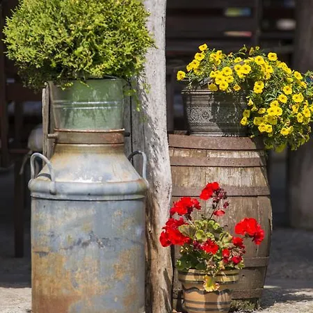 Mare 4* Grzybowo (West Pomeranian)