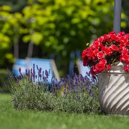 Mare شقة فندقية