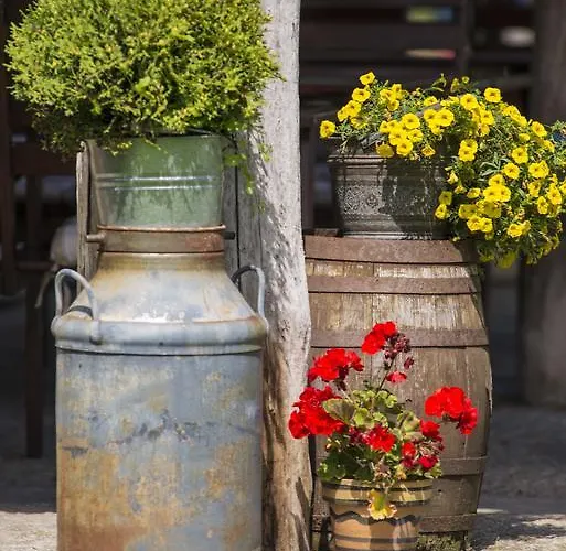 Mare 4* Grzybowo (West Pomeranian)