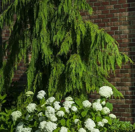 Mare 4* Grzybowo (West Pomeranian)