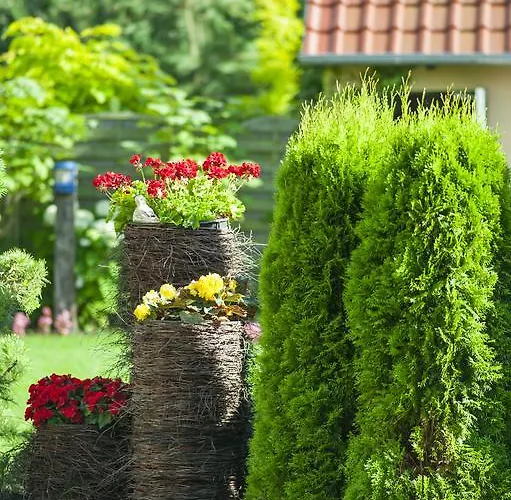 Mare Apartahotel Grzybowo (West Pomeranian)